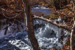 Big Pine Creek-1621.jpg Big Pine Creek-1621.jpg